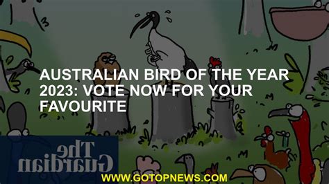 australian bird of the year vote